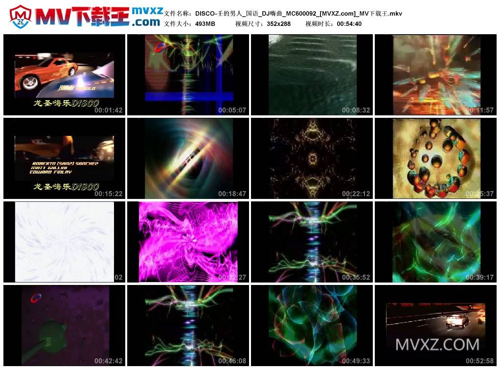 DISCO-壬的男人_国语_DJ嗨曲_MC600092